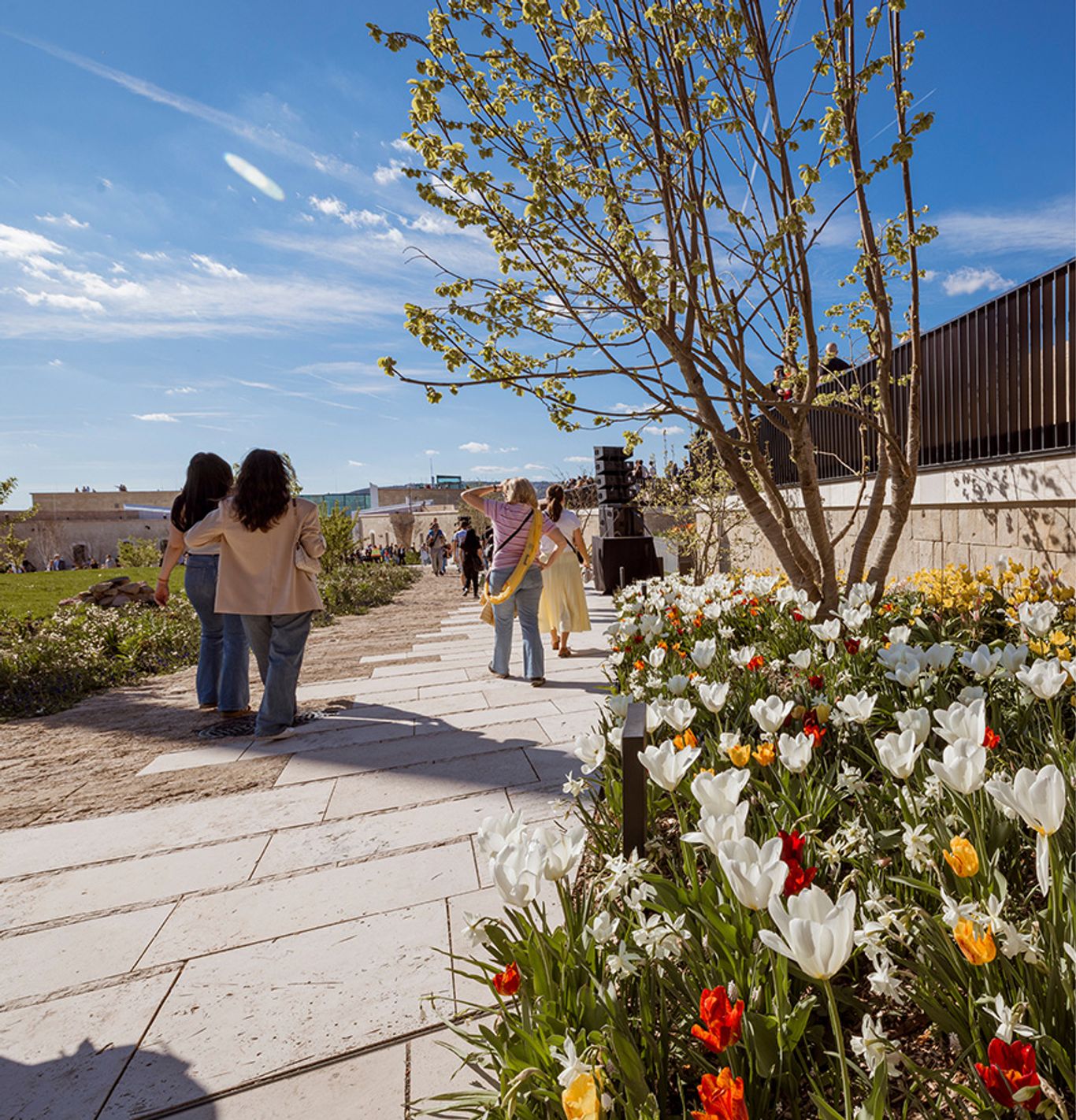 A Citadella parkosított területének egyik sétánya tavasszal, virágzó tulipánágyásokkal, fiatal fákkal és a kilátópont felé sétáló látogatókkal.